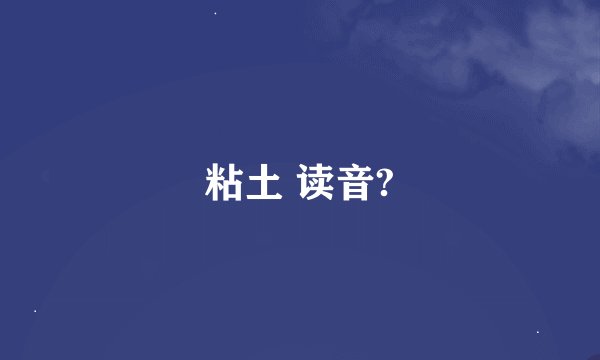 粘土 读音?