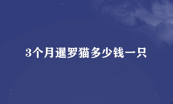 3个月暹罗猫多少钱一只