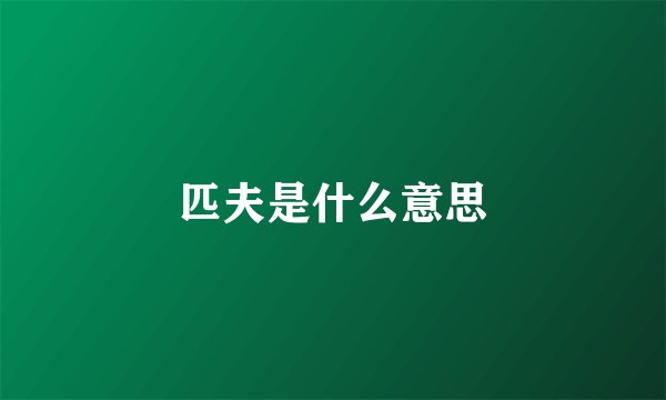 匹夫是什么意思