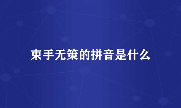 束手无策的拼音是什么