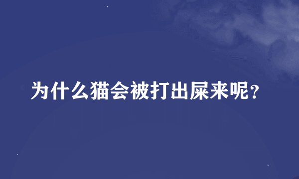 为什么猫会被打出屎来呢?