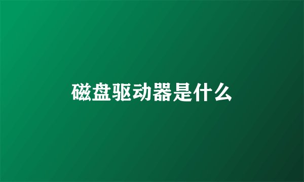 磁盘驱动器是什么