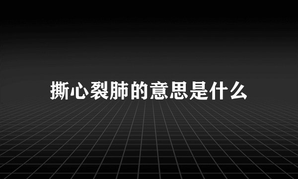 撕心裂肺的意思是什么