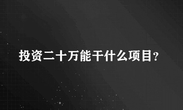 投资二十万能干什么项目？