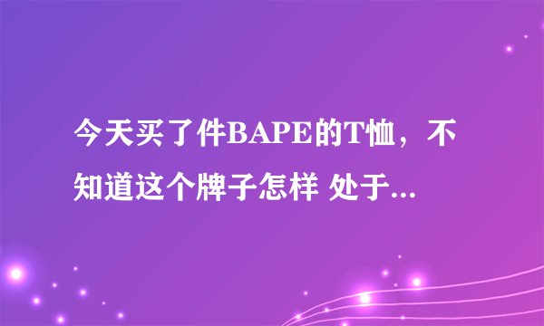 今天买了件BAPE的T恤，不知道这个牌子怎样 处于什么档次 价位如何?