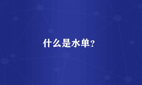 什么是水单？