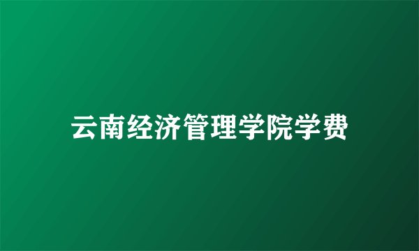 云南经济管理学院学费