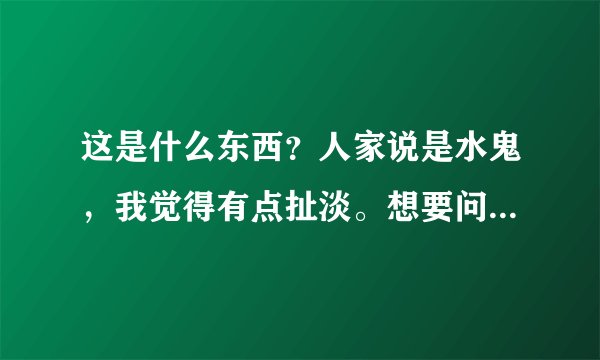 这是什么东西？人家说是水鬼，我觉得有点扯淡。想要问问懂的大神
