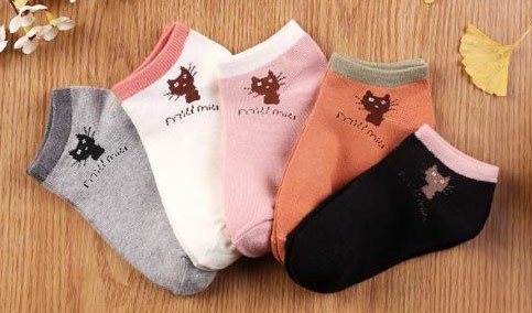 sock怎么读