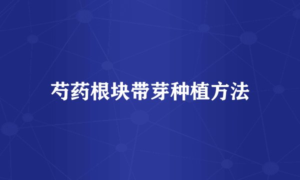芍药根块带芽种植方法