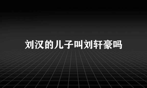 刘汉的儿子叫刘轩豪吗