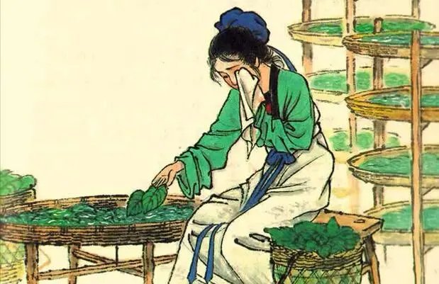 蚕妇的拼音怎么读？