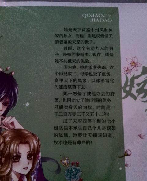 七小姐嫁到的介绍
