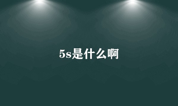 5s是什么啊