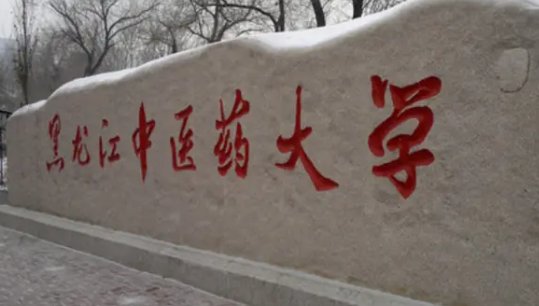 黑龙江中医药大学好么？
