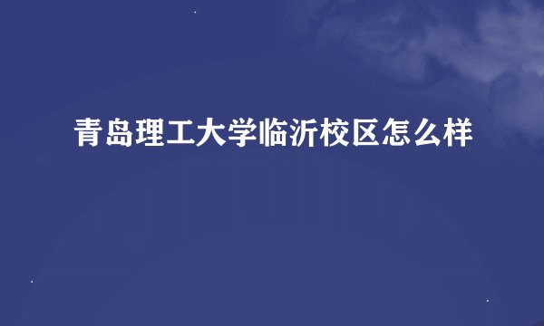 青岛理工大学临沂校区怎么样