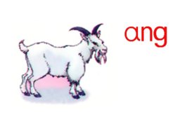 ang拼音字母怎么读