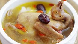 养一千对肉鸽一般情况下,一年能挣多少钱?