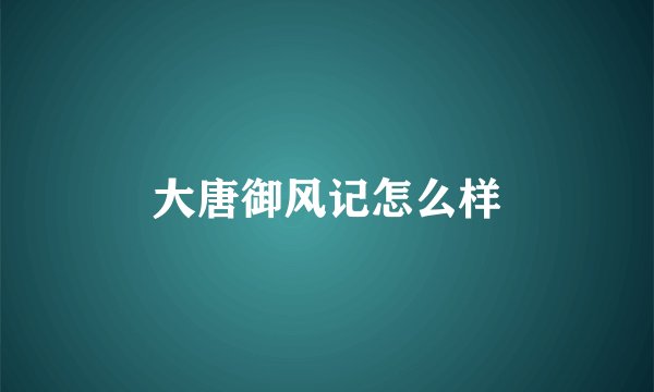 大唐御风记怎么样