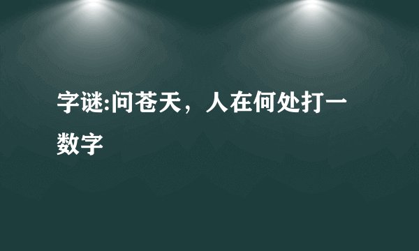 字谜:问苍天，人在何处打一数字