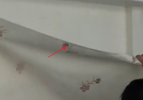 如何揭掉墙上的旧壁纸