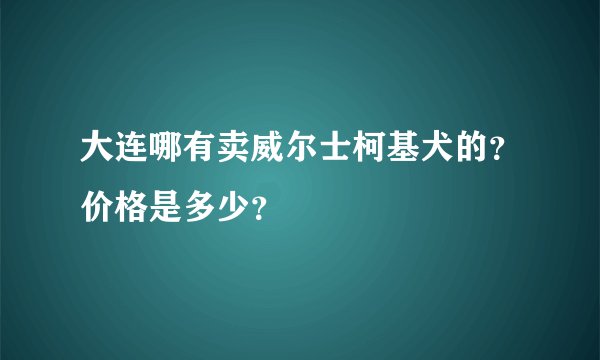 大连哪有卖威尔士柯基犬的？价格是多少？