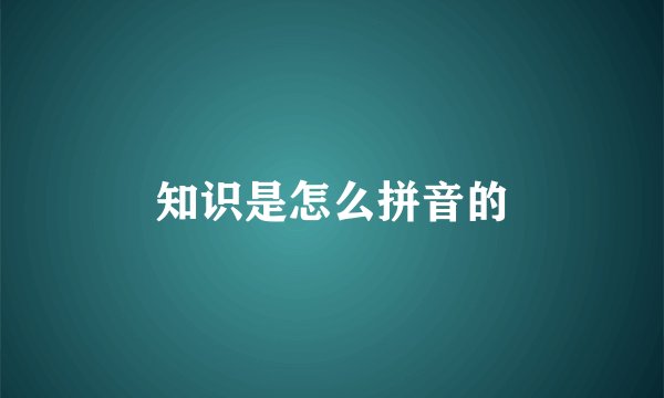 知识是怎么拼音的