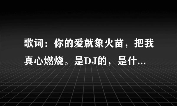 歌词:你的爱就象火苗,把我真心燃烧。是DJ的,是什么歌名啊?