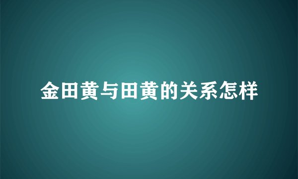 金田黄与田黄的关系怎样