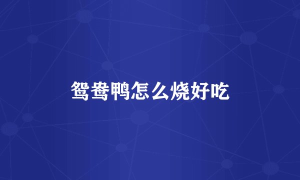 鸳鸯鸭怎么烧好吃
