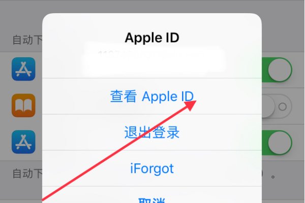 苹果手机商店变成英文怎么改回来？