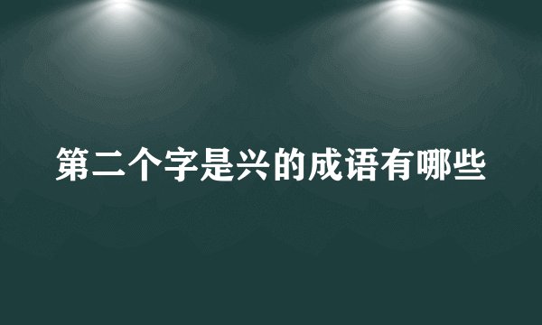 第二个字是兴的成语有哪些