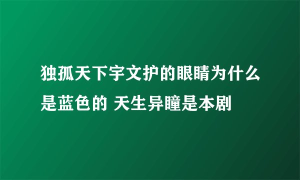 独孤天下宇文护的眼睛为什么是蓝色的 天生异瞳是本剧