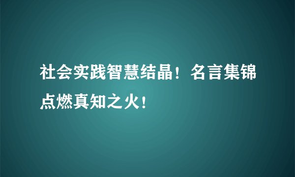 社会实践智慧结晶！名言集锦点燃真知之火！