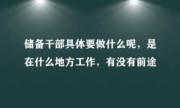 储备干部具体要做什么呢，是在什么地方工作，有没有前途