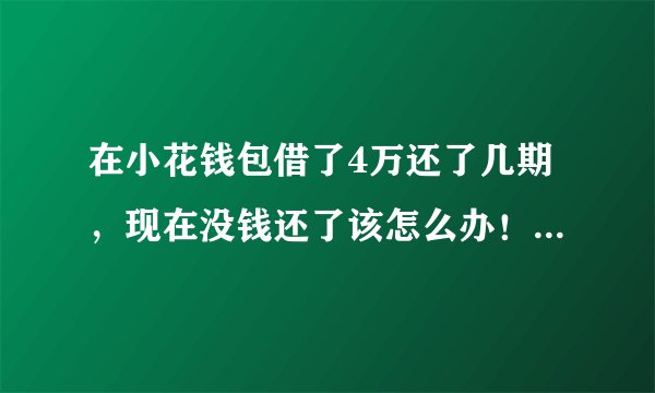 在小花钱包借了4万还了几期，现在没钱还了该怎么办！他们会上门催还吗？