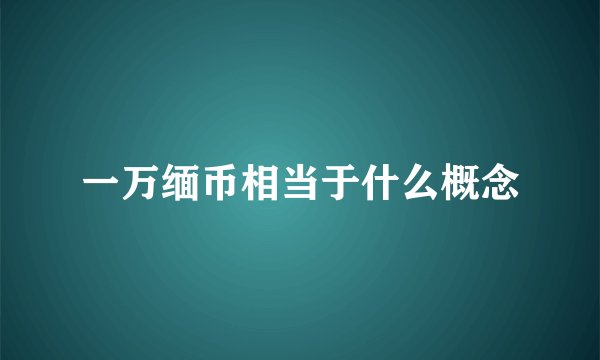 一万缅币相当于什么概念