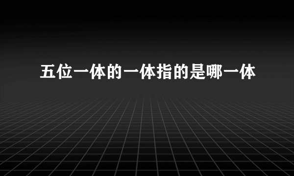 五位一体的一体指的是哪一体