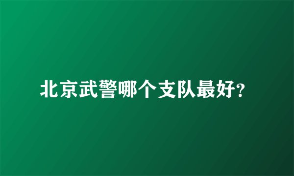 北京武警哪个支队最好?