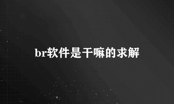 br软件是干嘛的求解