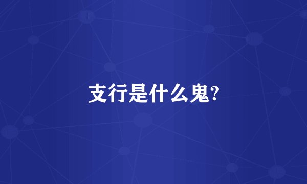 支行是什么鬼?