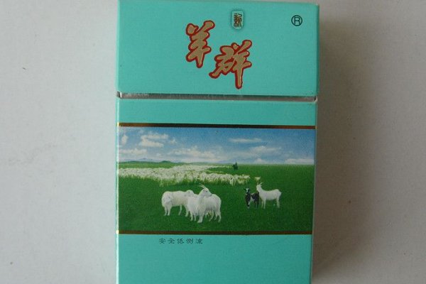 陕西名烟排行榜前十名