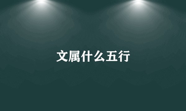 文属什么五行