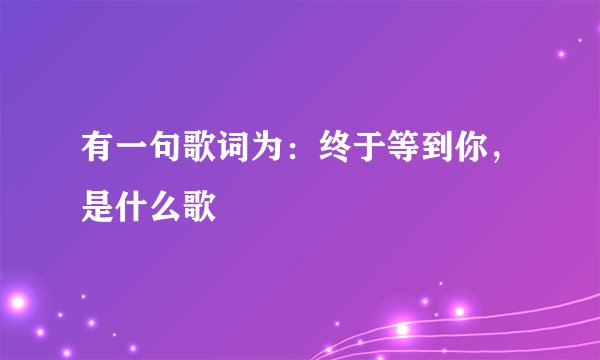 有一句歌词为：终于等到你，是什么歌