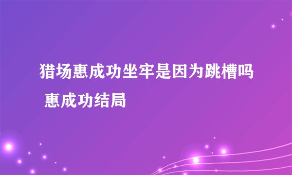 猎场惠成功坐牢是因为跳槽吗 惠成功结局