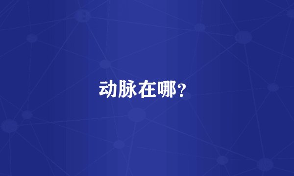 动脉在哪？