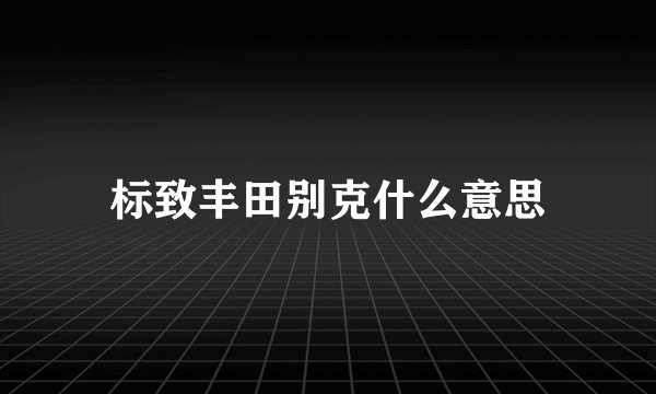 标致丰田别克什么意思