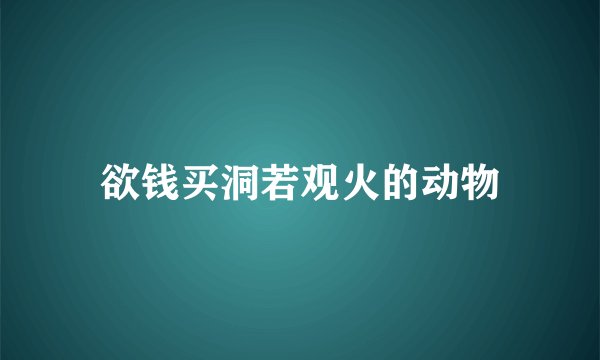 欲钱买洞若观火的动物