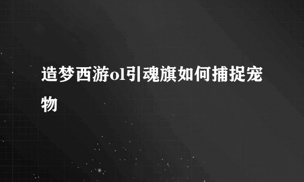 造梦西游ol引魂旗如何捕捉宠物