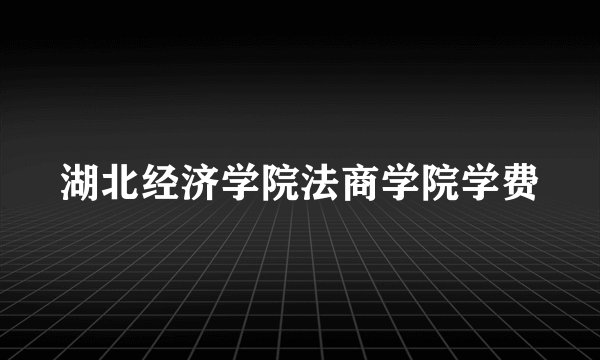 湖北经济学院法商学院学费